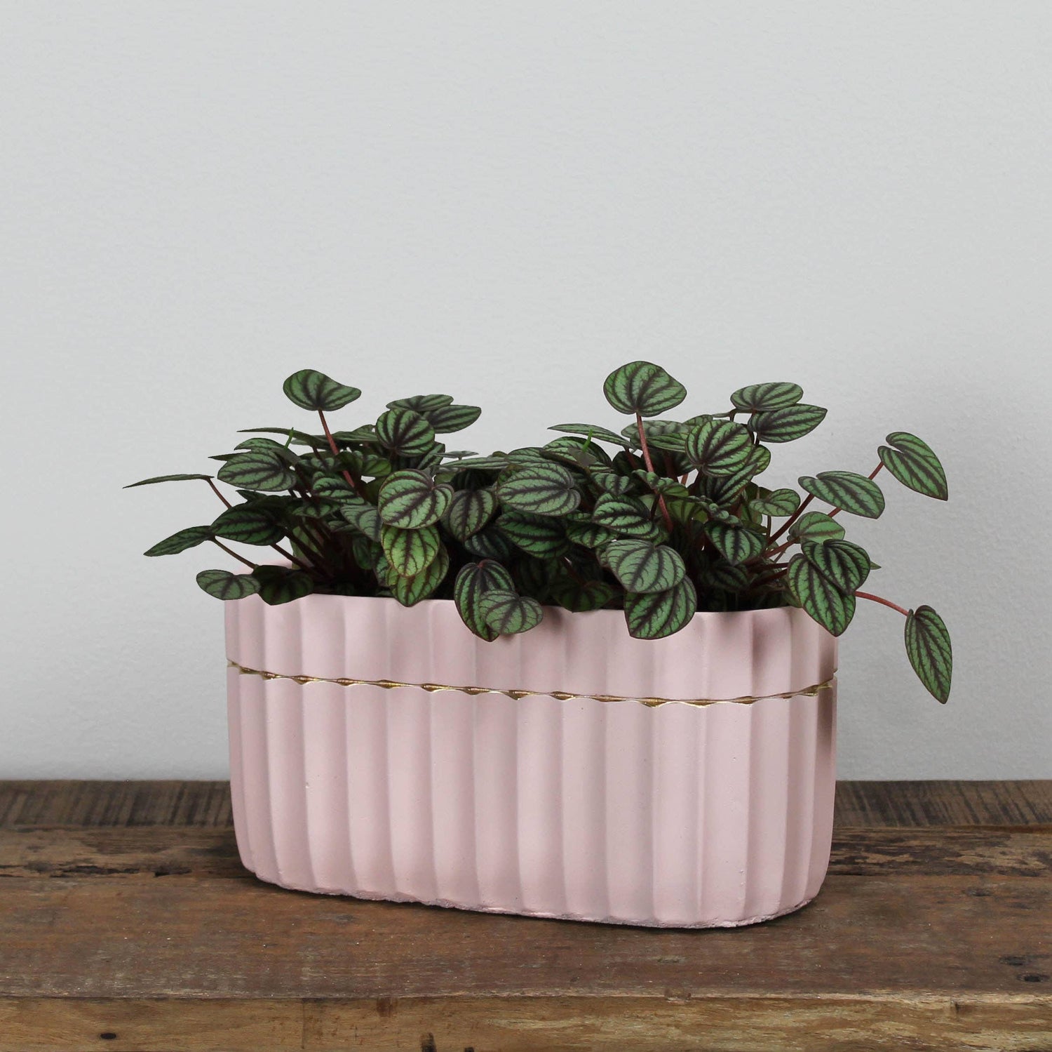 Skylar Planter