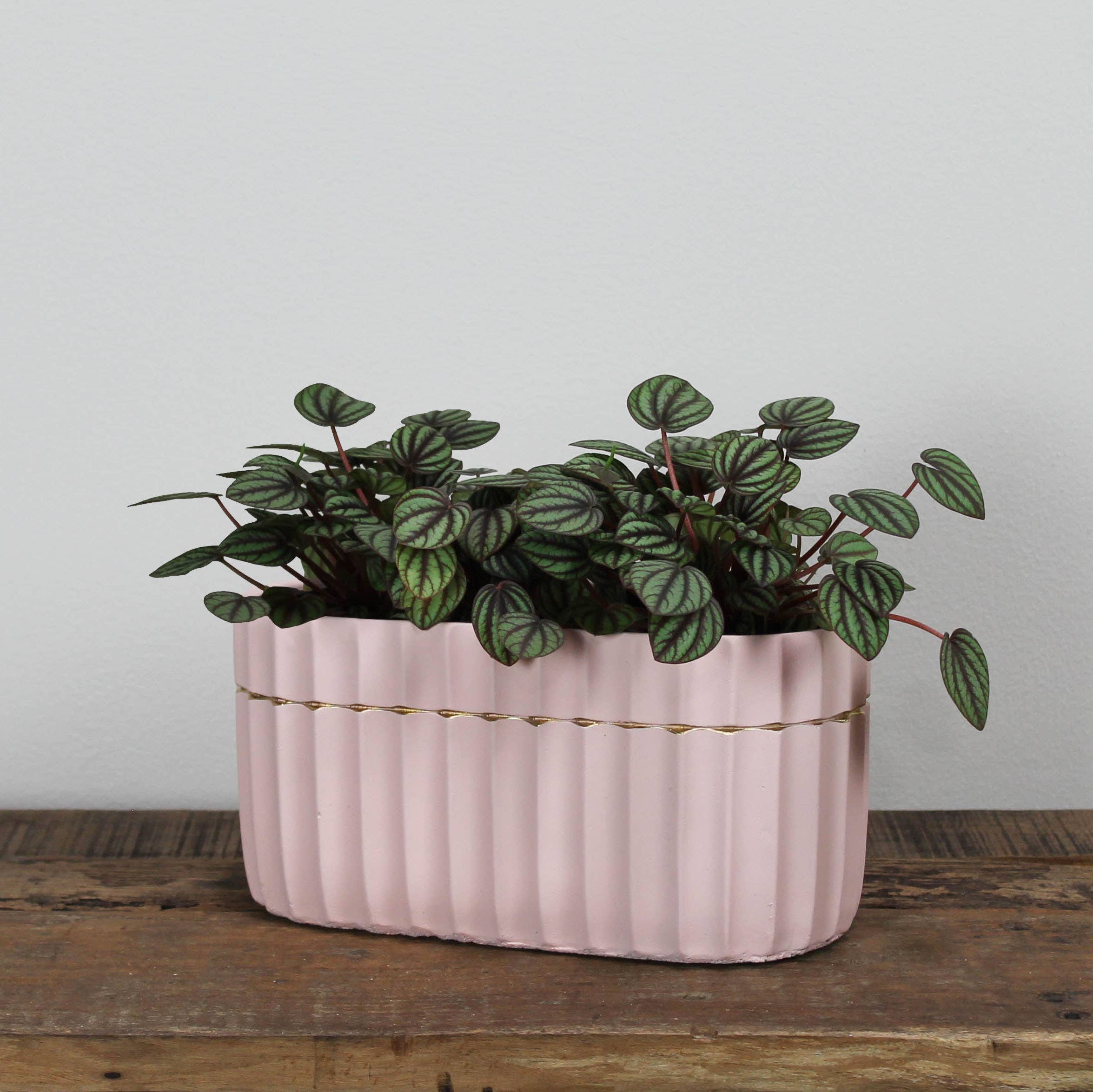 Skylar Planter