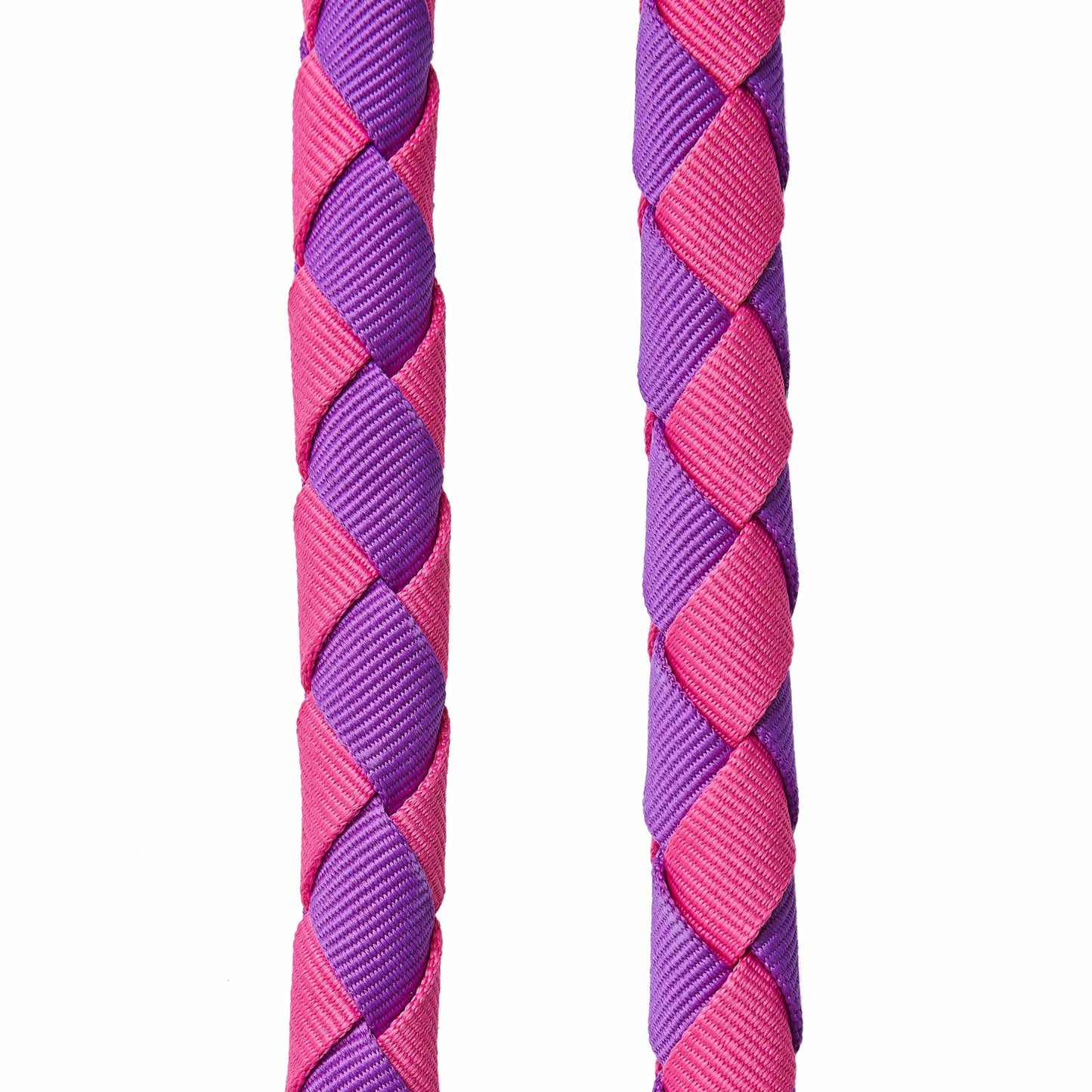 Hand Braided Dog Leash