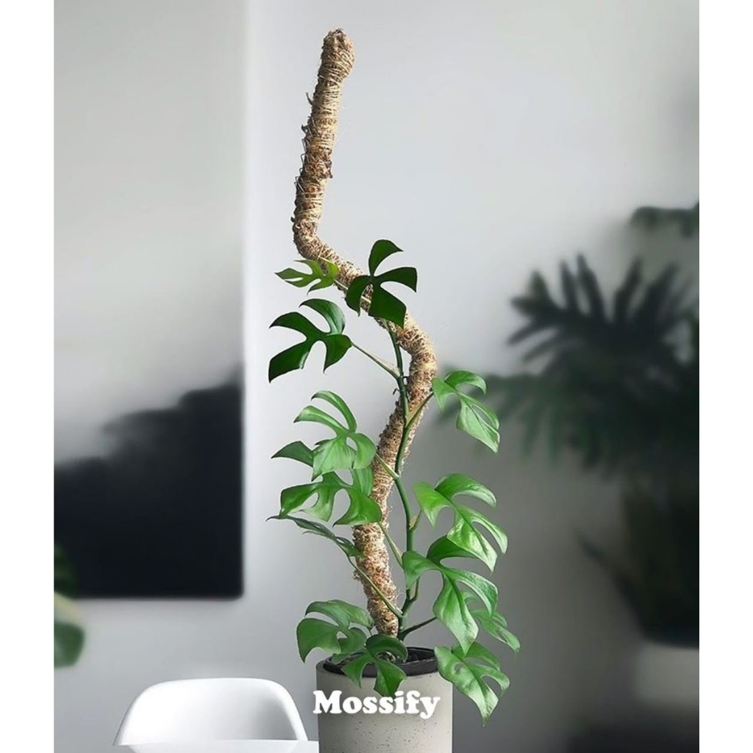 Bendable Moss Pole