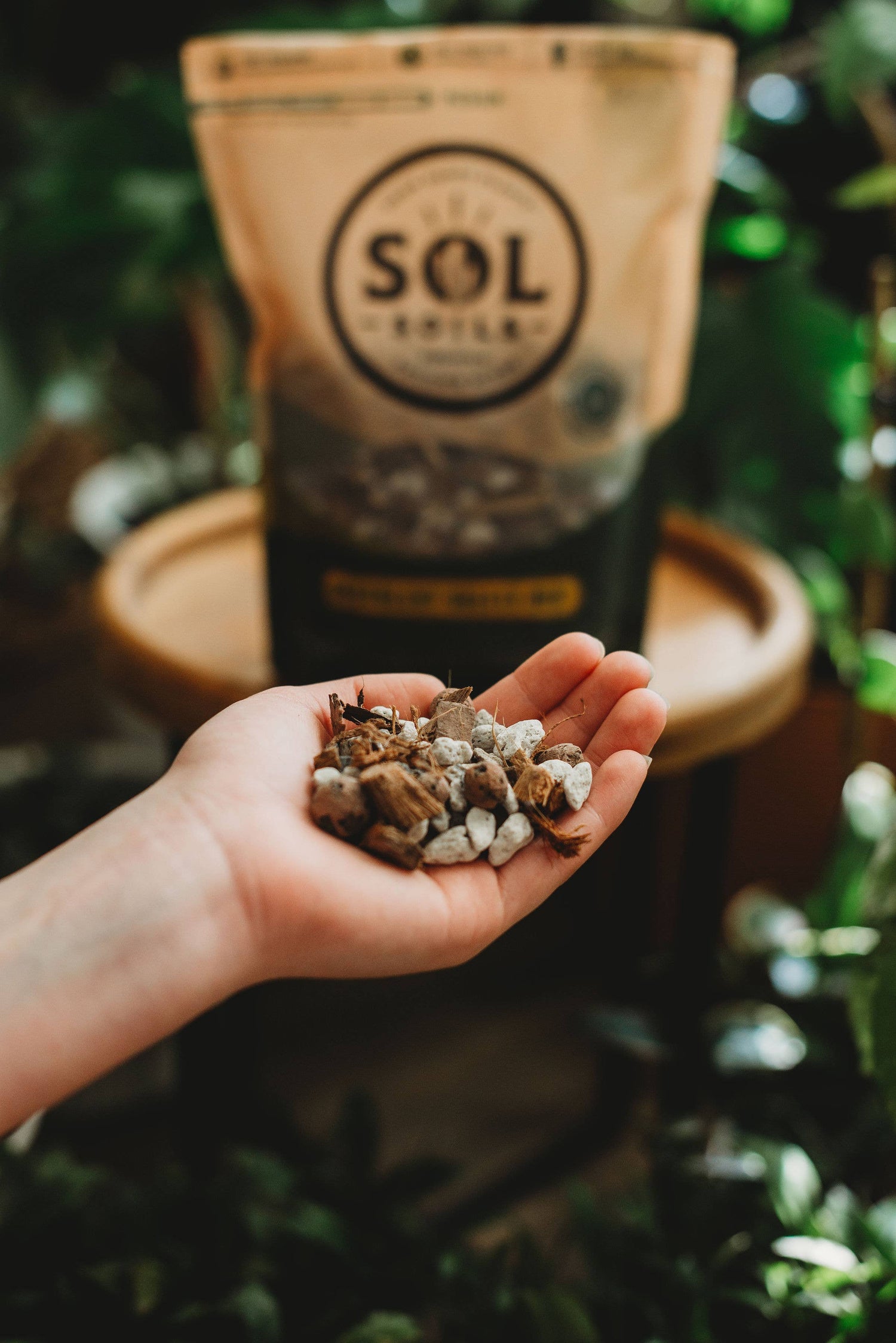 Soil (2Qt) Succulent Gritty Mix