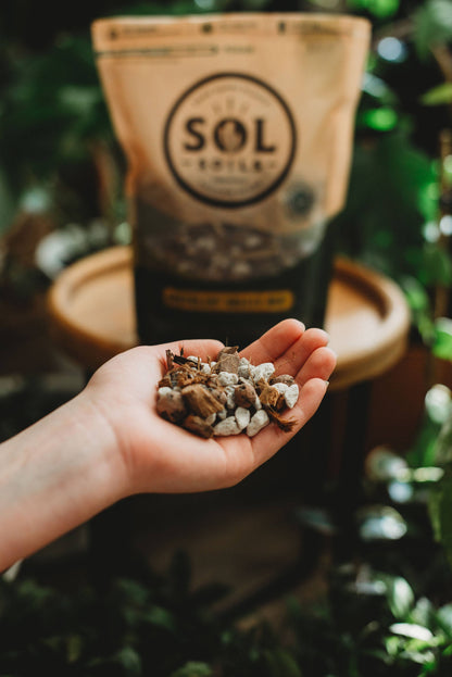 Soil (2Qt) Succulent Gritty Mix