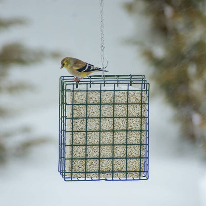 Neat Feeder