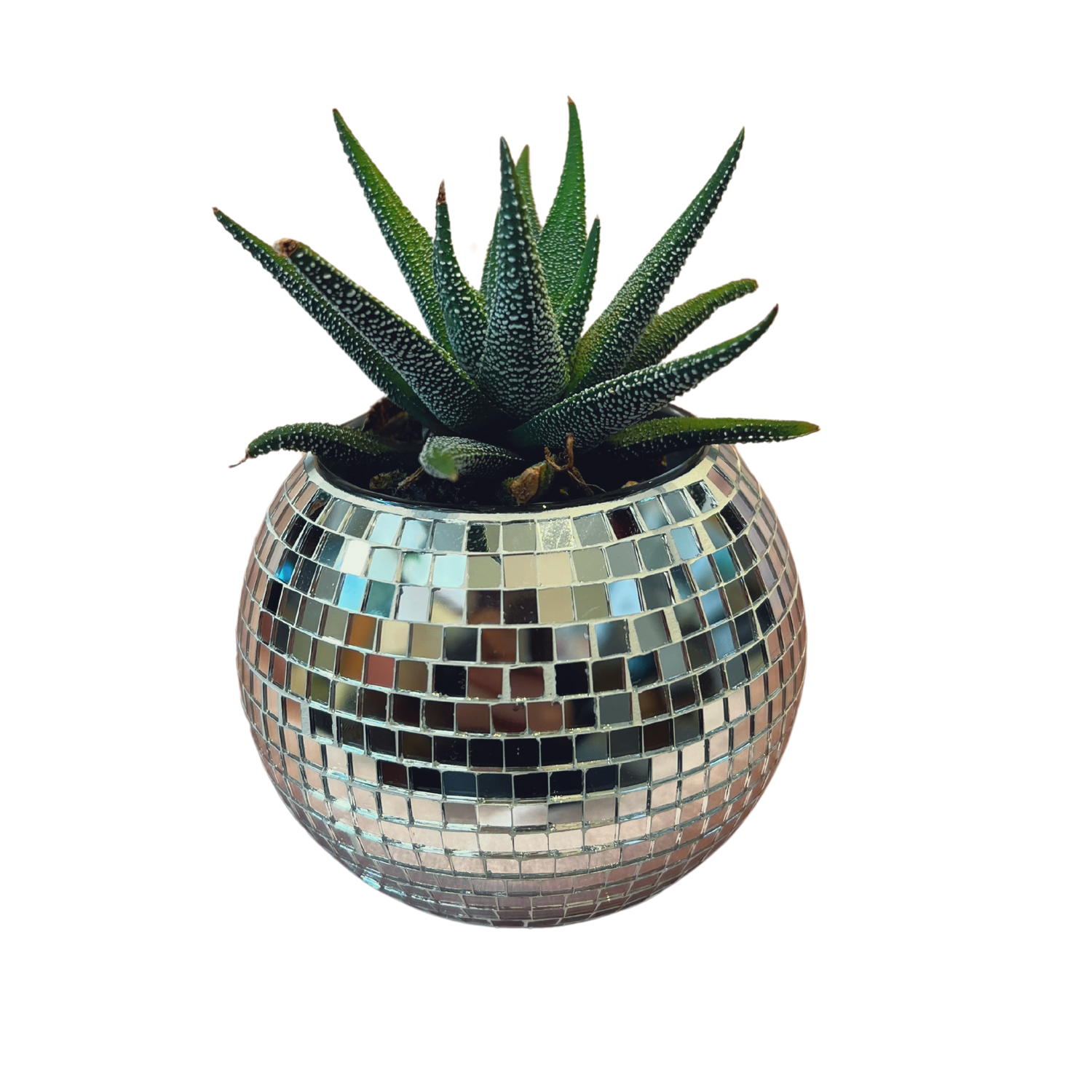 Desk Disco Ball Planter