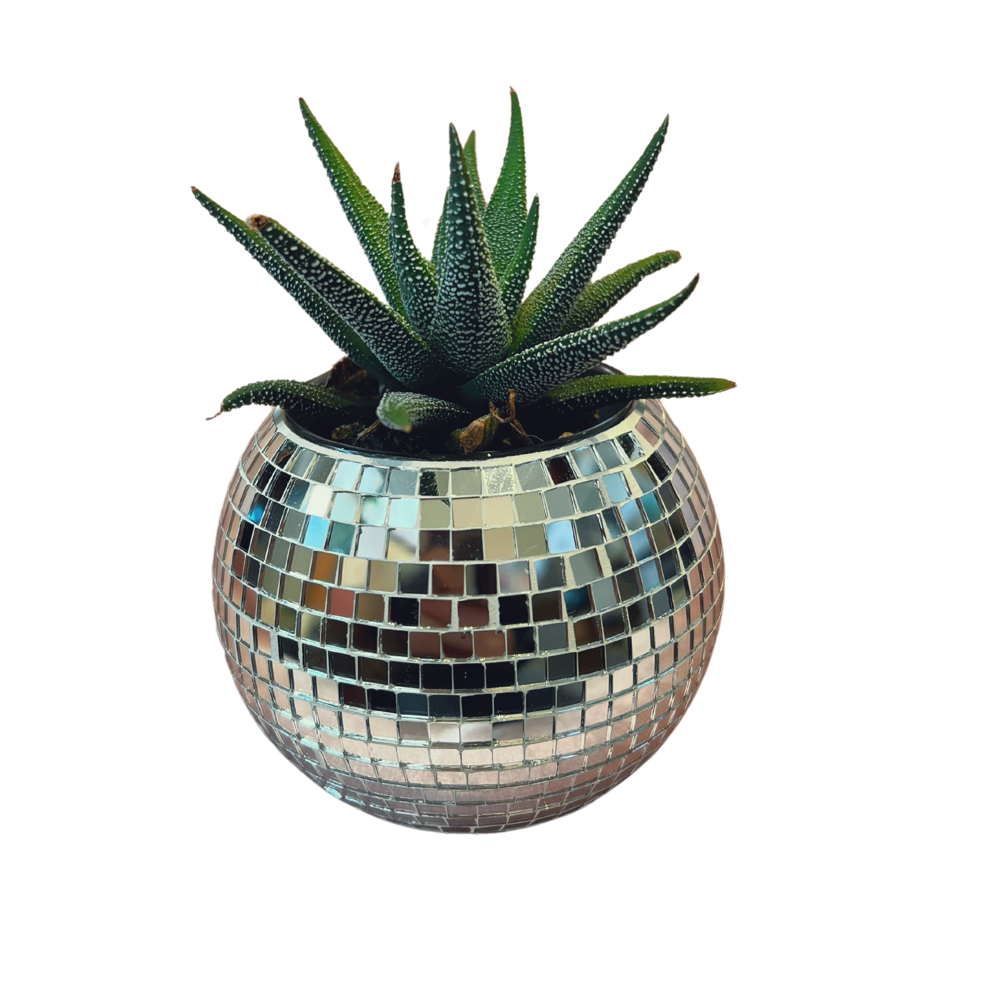 Desk Disco Ball Planter