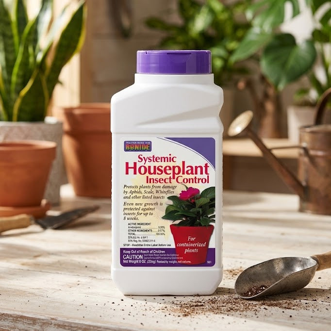 House Plant Insect Control