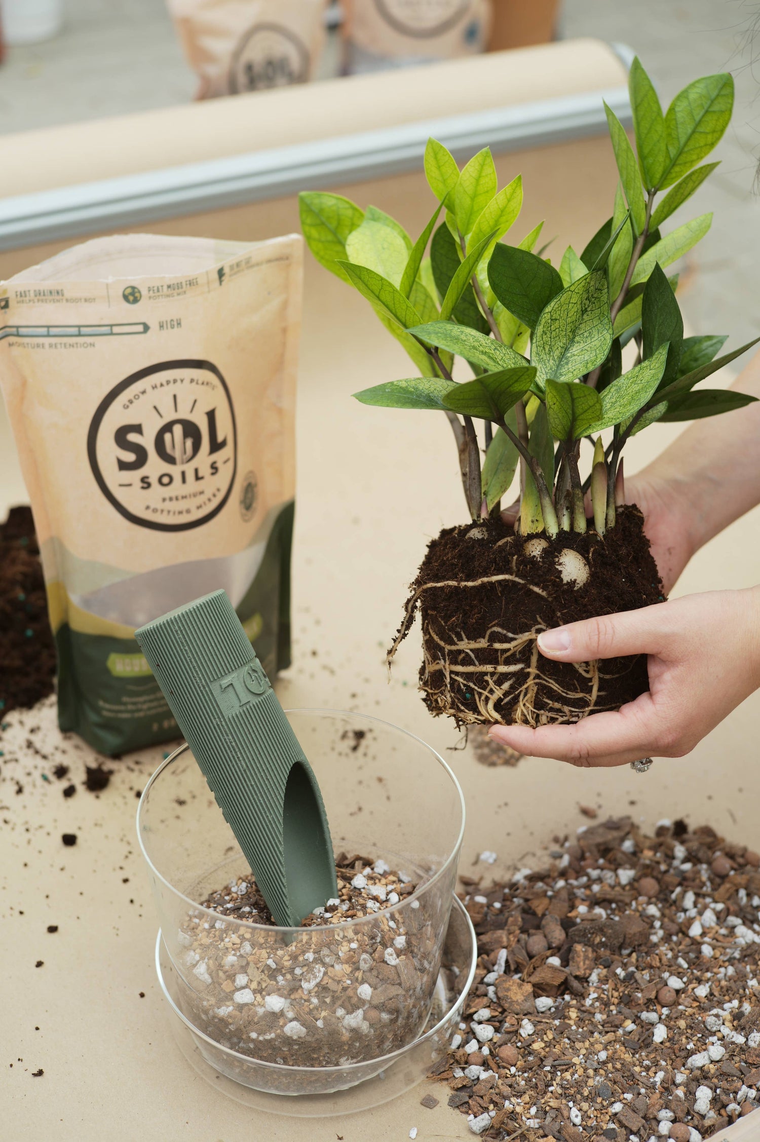 Soil (1Qt) Houseplant Chunky Mix (Aroid/Tropical Mix)
