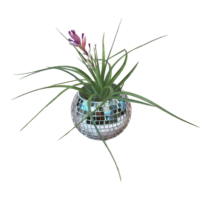 Desk Disco Ball Planter