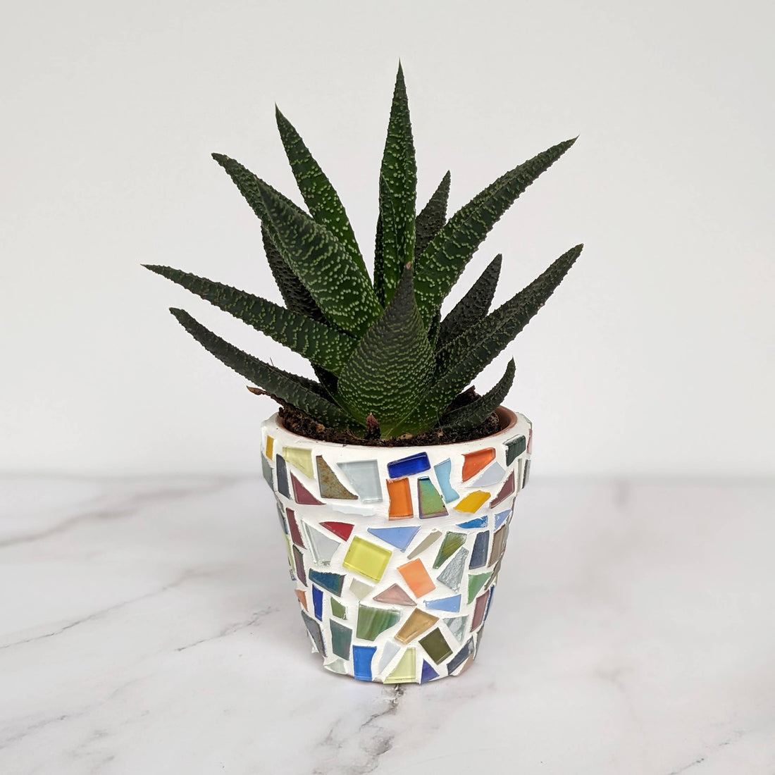 Mosaic Planter Craft kit
