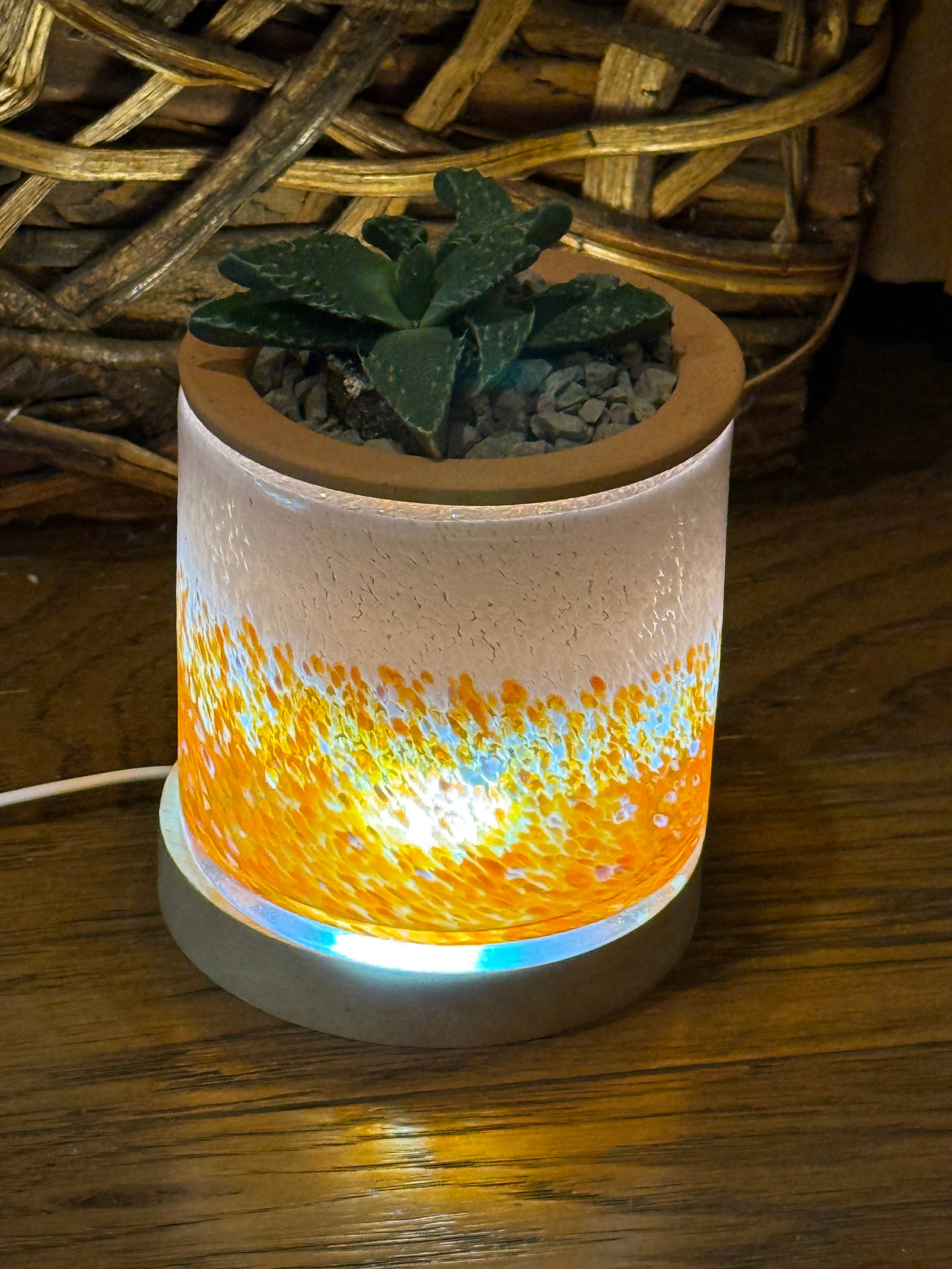 Self-Watering LED Planter