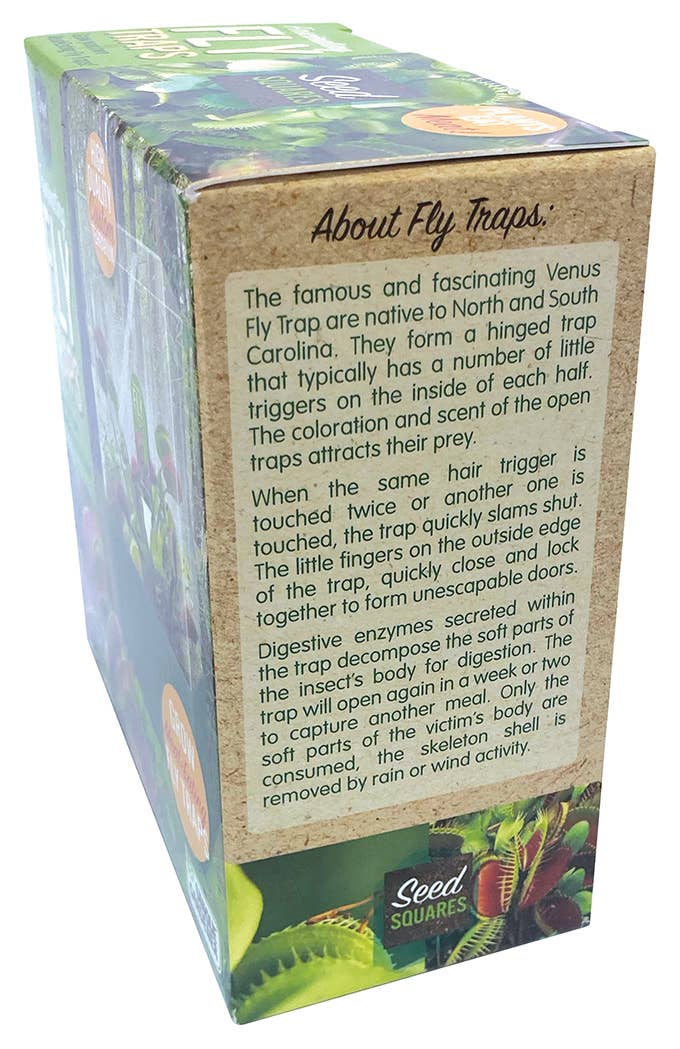 Flytraps Seed Square Terrarium