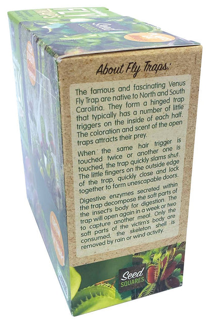 Flytraps Seed Square Terrarium