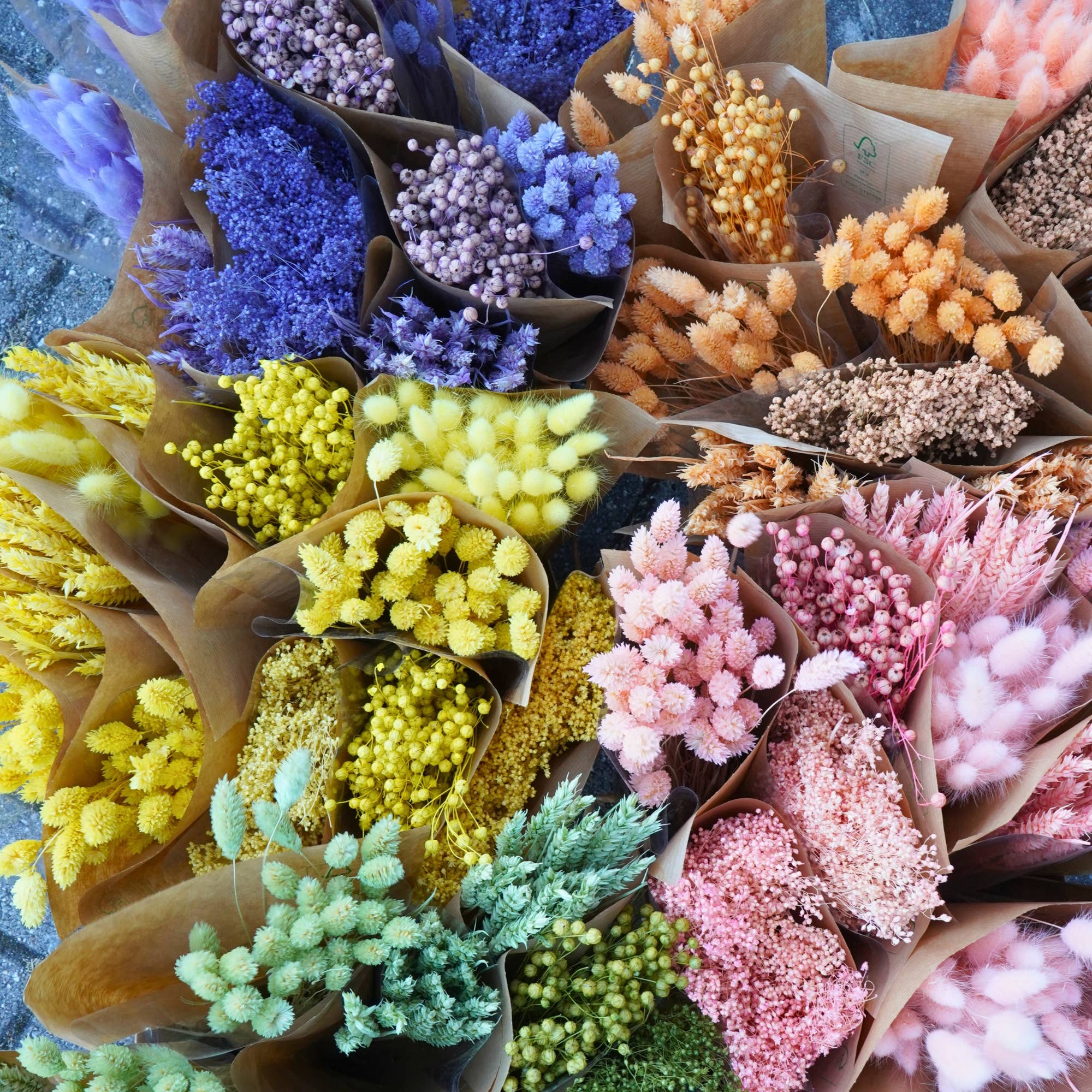 Dried Flowers Lilac Mix