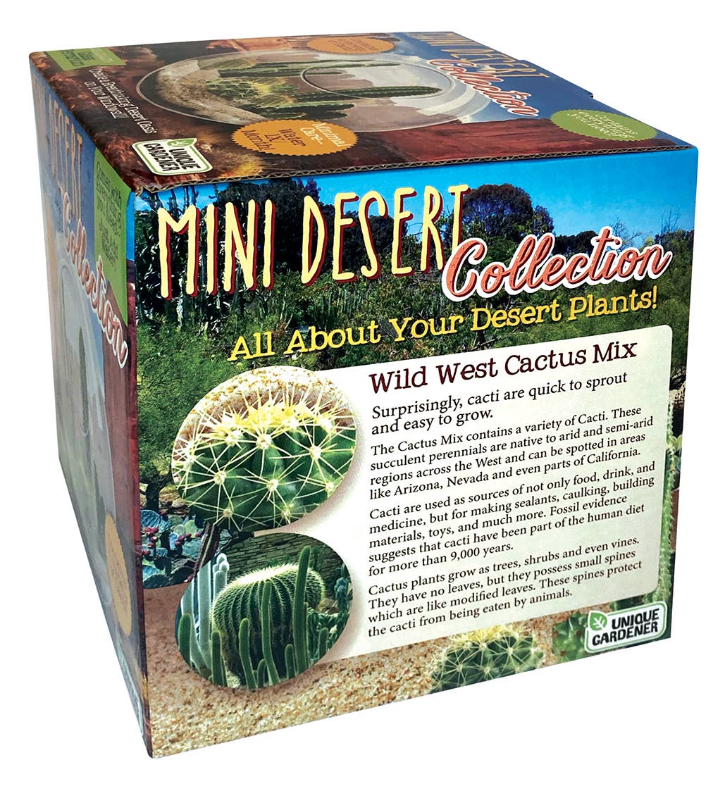 Mini Desert Cacti Kit