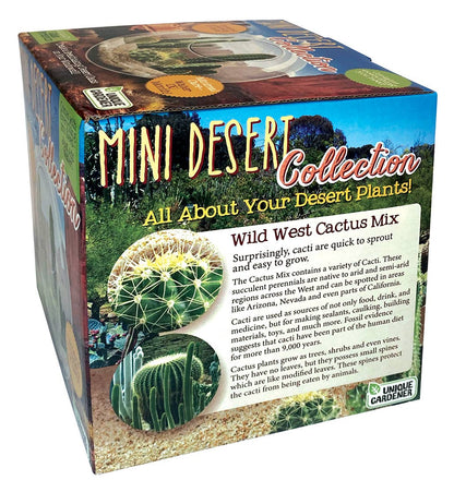 Mini Desert Cacti Kit