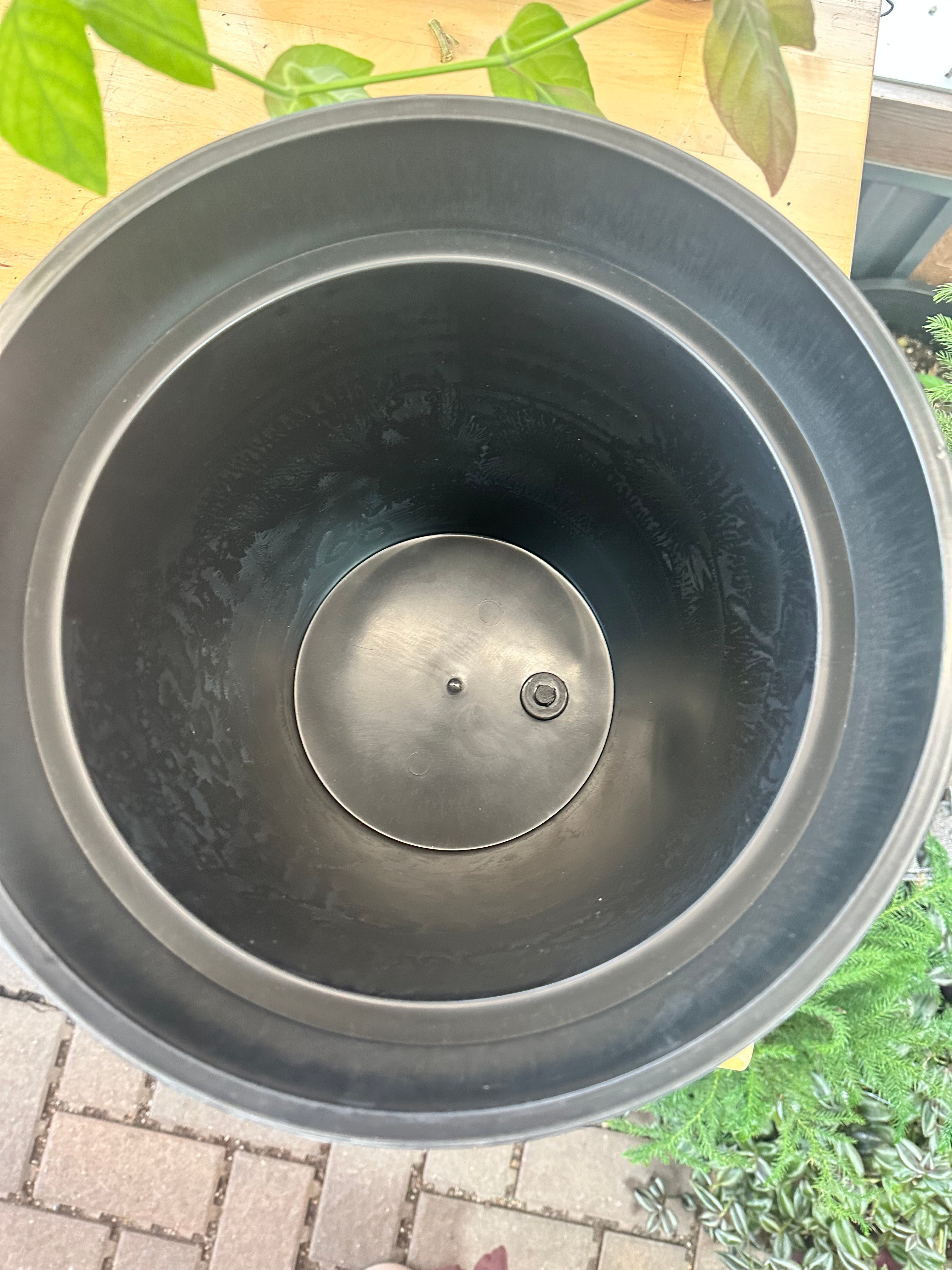 12" Zest Pot