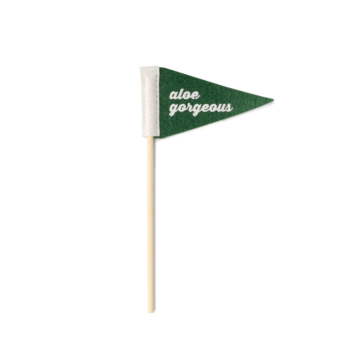 Rooting For You Plant Pennants