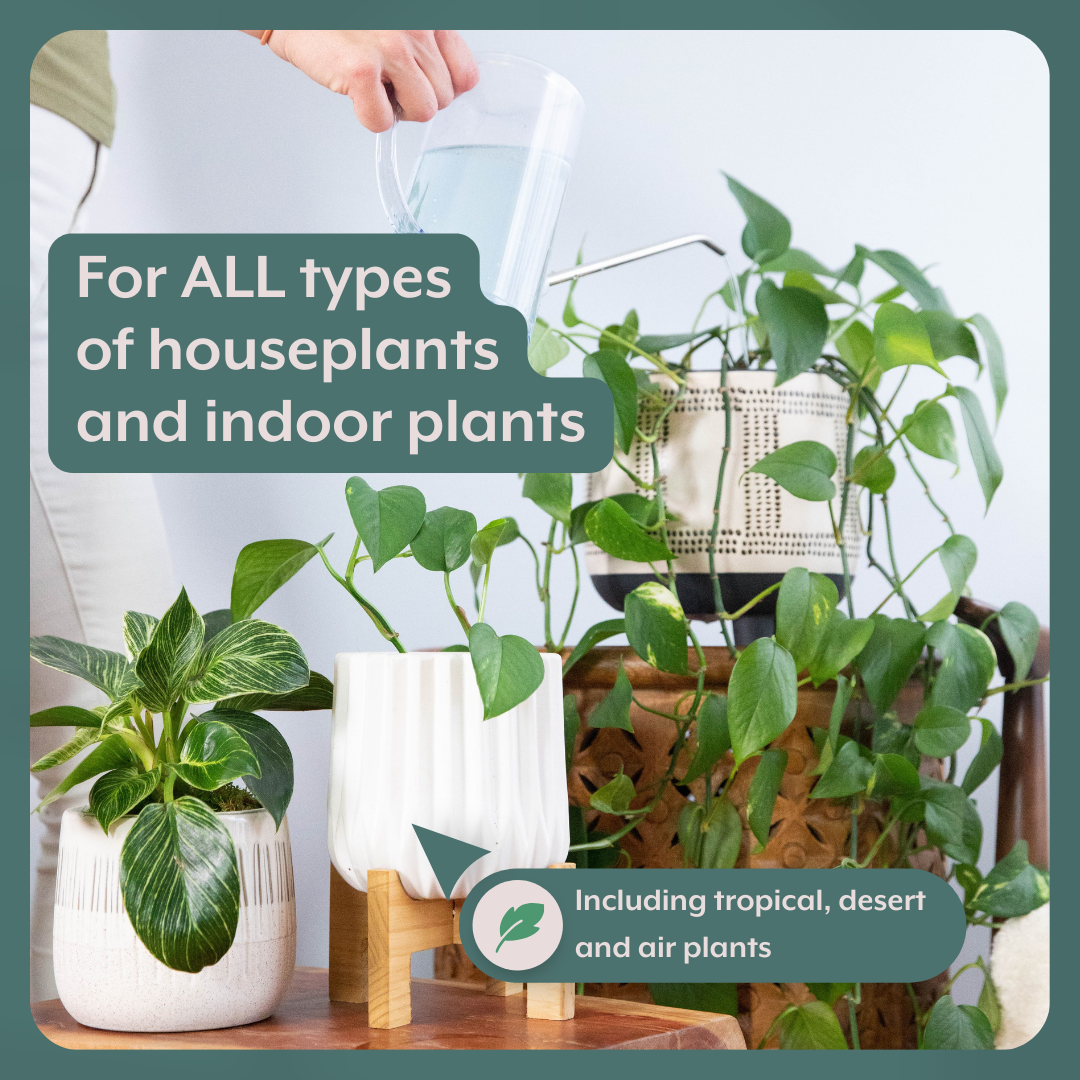 Instant Plant Food Tablets