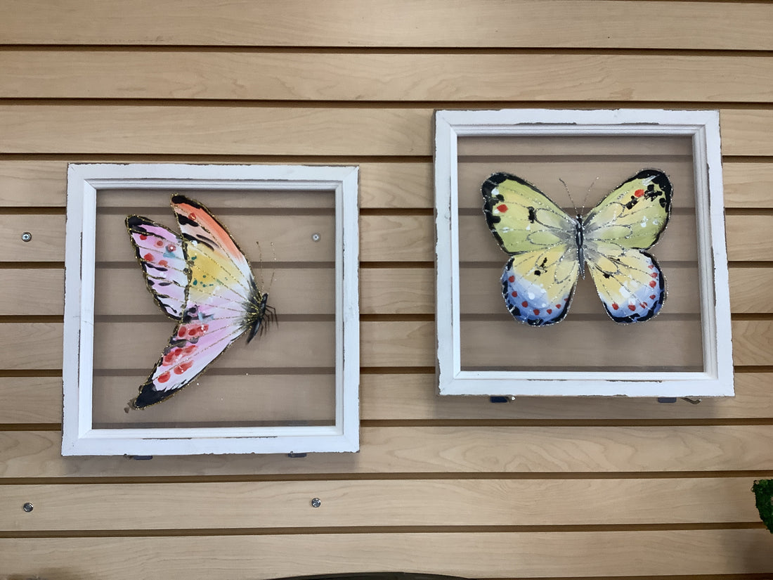 Butterfly Screen