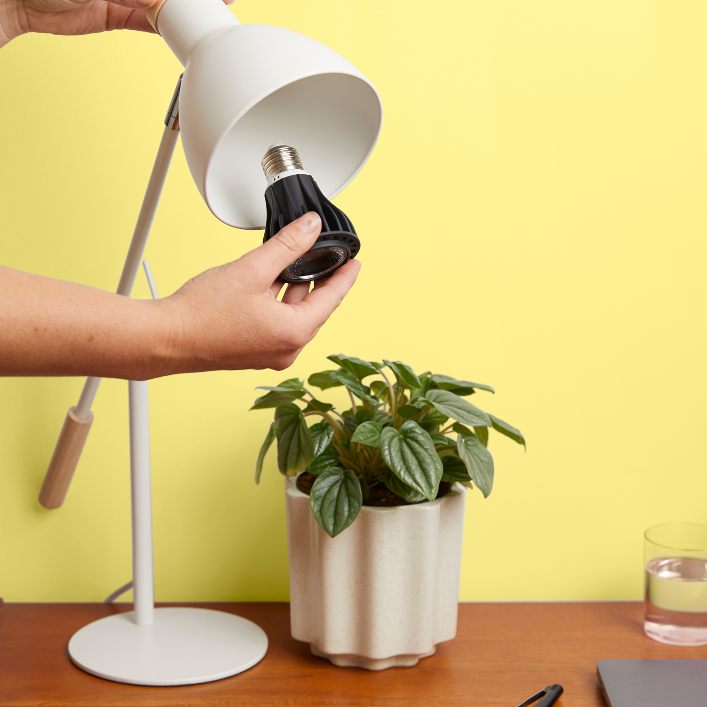 Instant Sun LED Grow Light Bulb