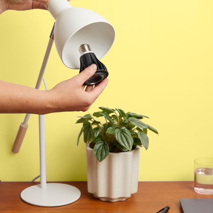 Instant Sun LED Grow Light Bulb