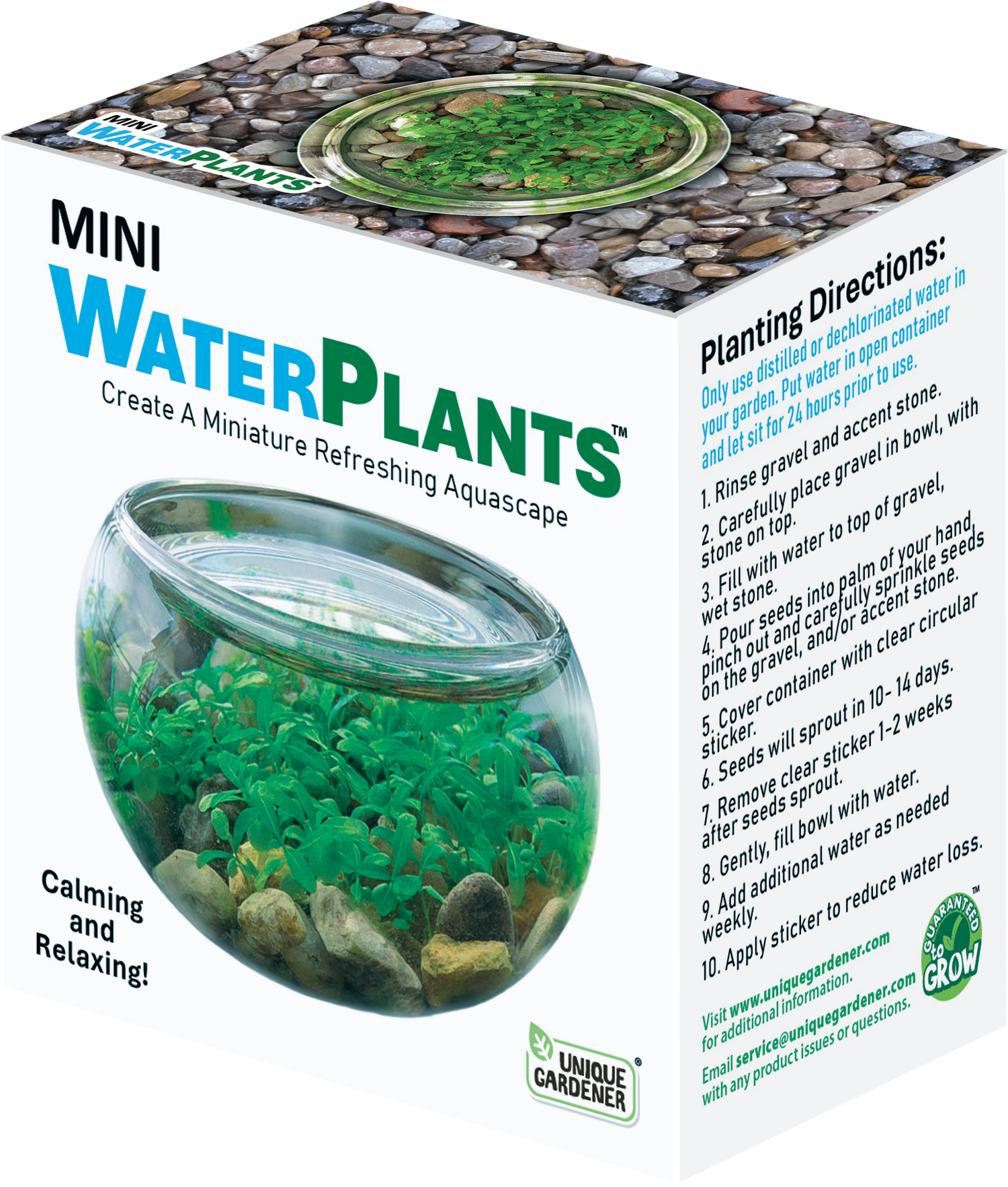 Mini Water Plant Kit