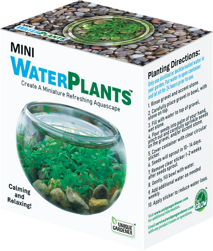 Mini Water Plant Kit