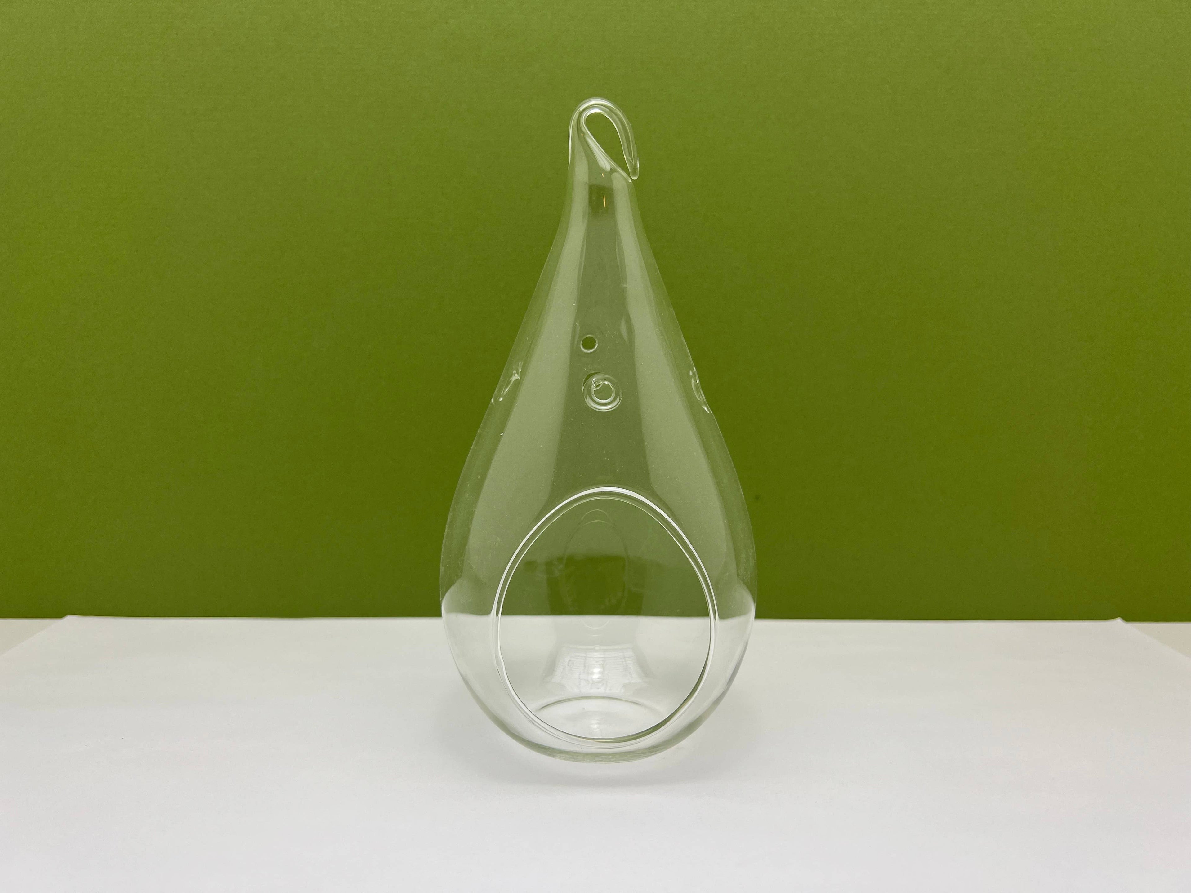Glass Teardrop Terrarium Planter with Hanging Hook