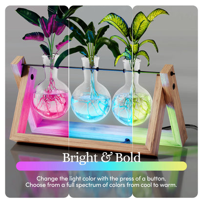 Light Up Propagation Station