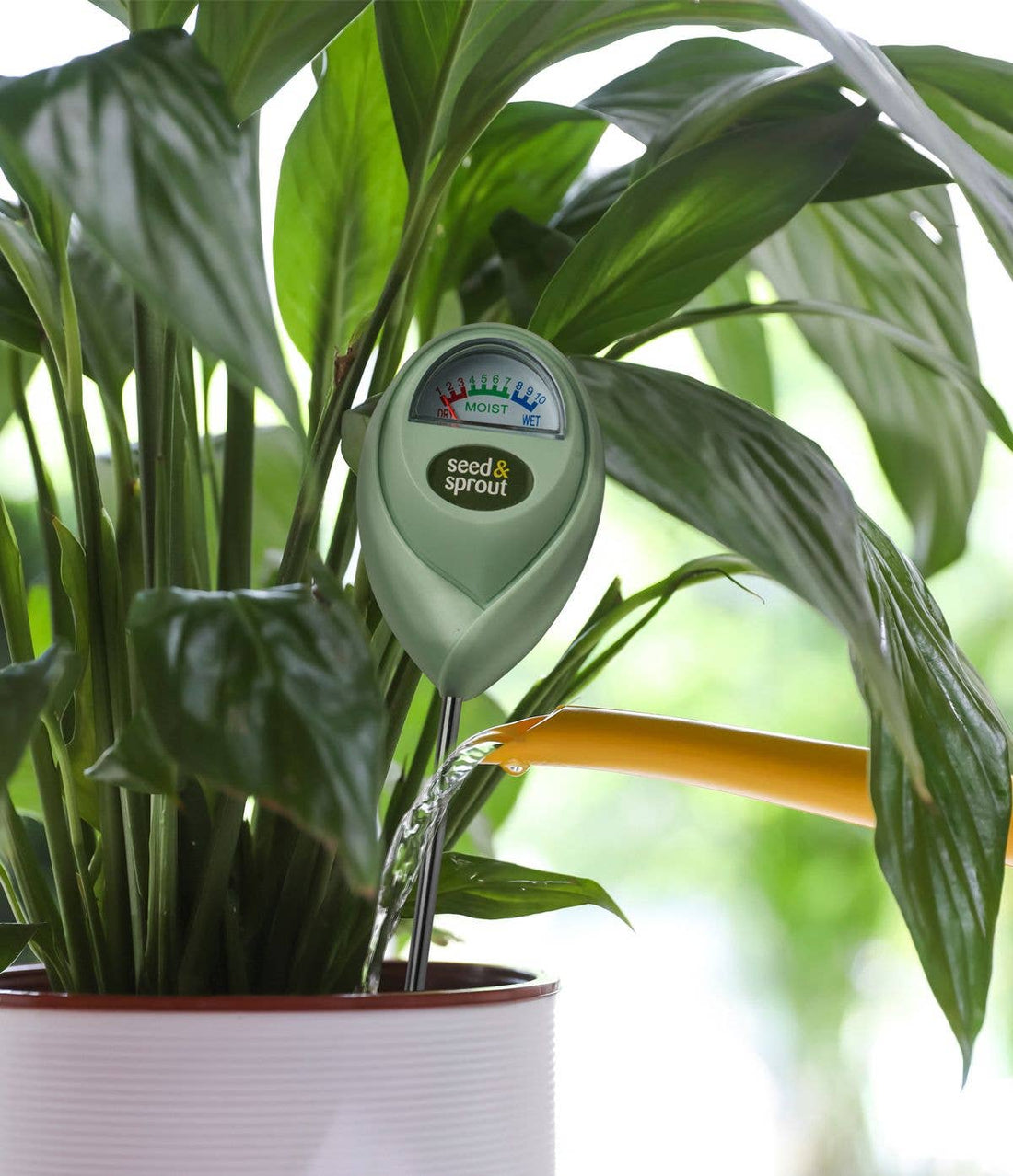 Potted Plant Moisture Meter