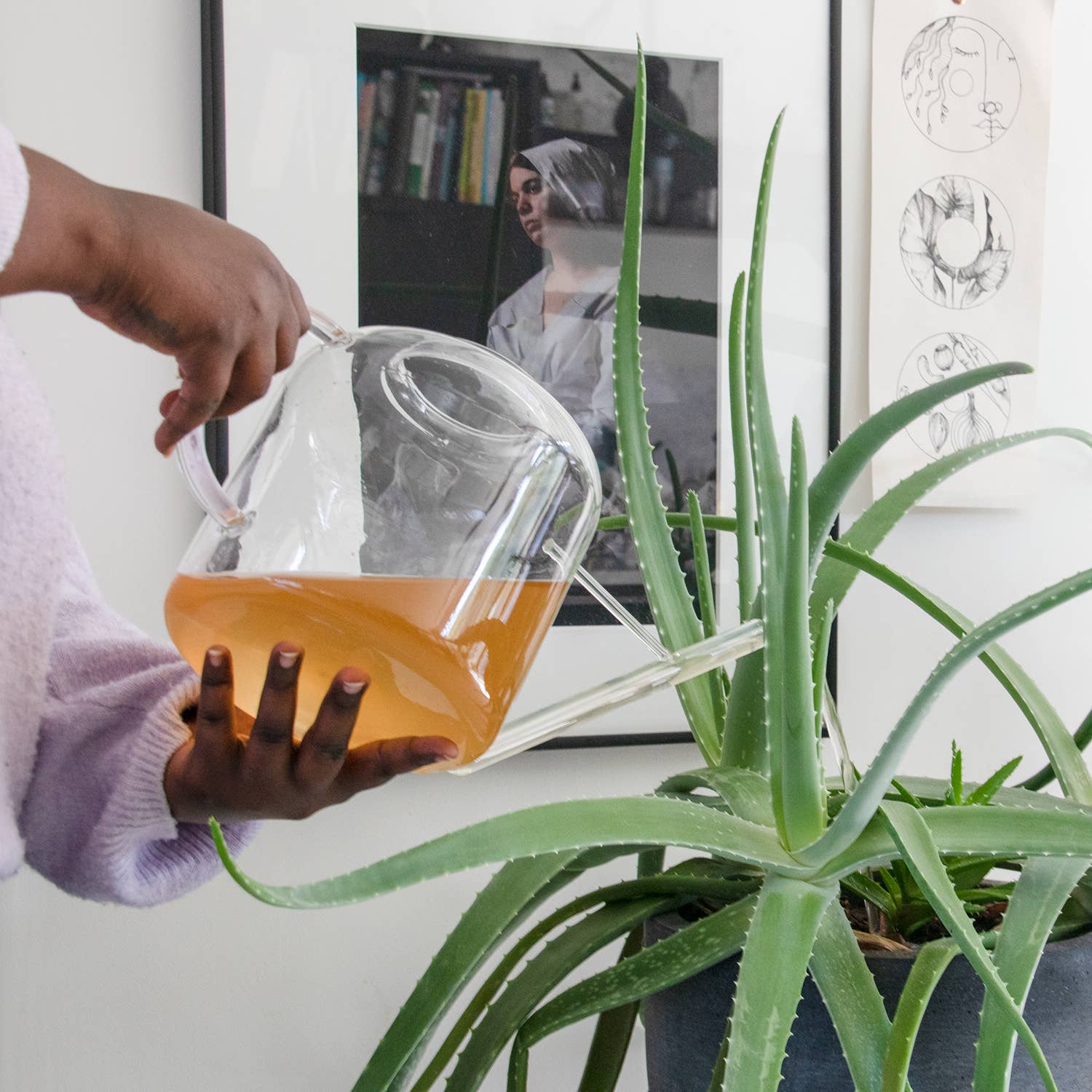 Complete Organic Plant Food Pump Bottle