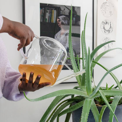 Complete Organic Plant Food Pump Bottle