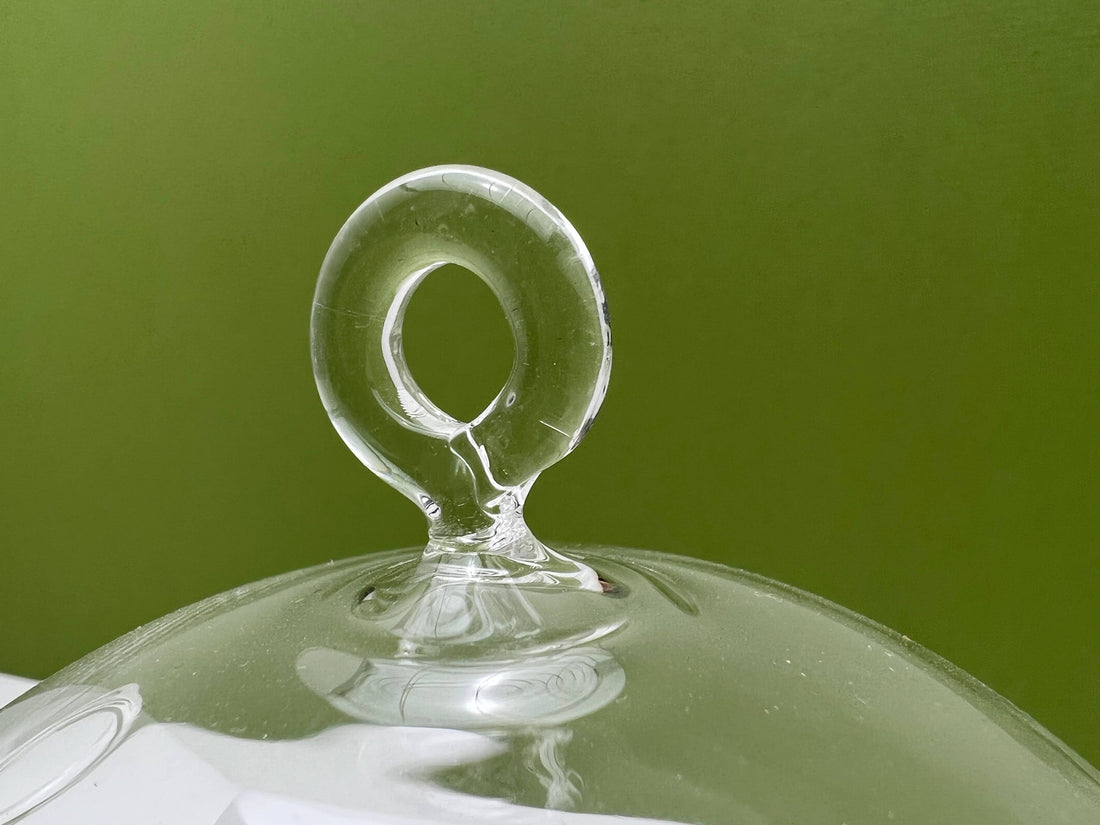 Round Glass Orb Terrarium Planter with Hanging Hook