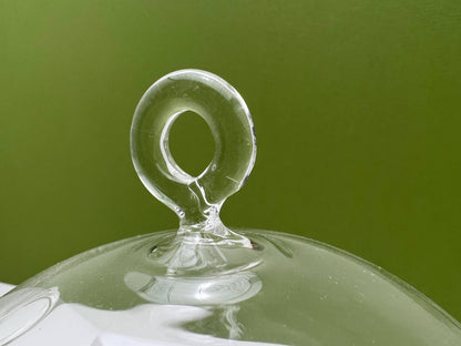 Round Glass Orb Terrarium Planter with Hanging Hook