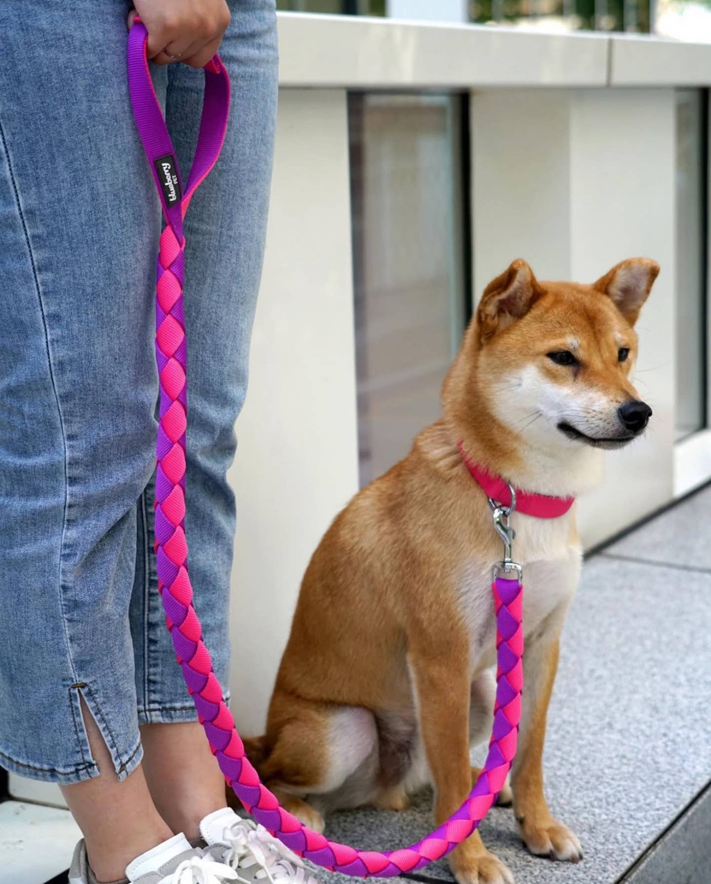 Hand Braided Dog Leash