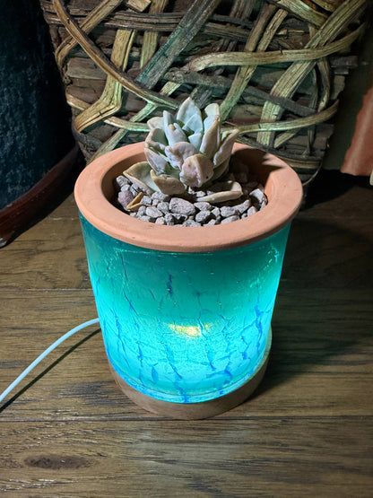 Self-Watering LED Planter
