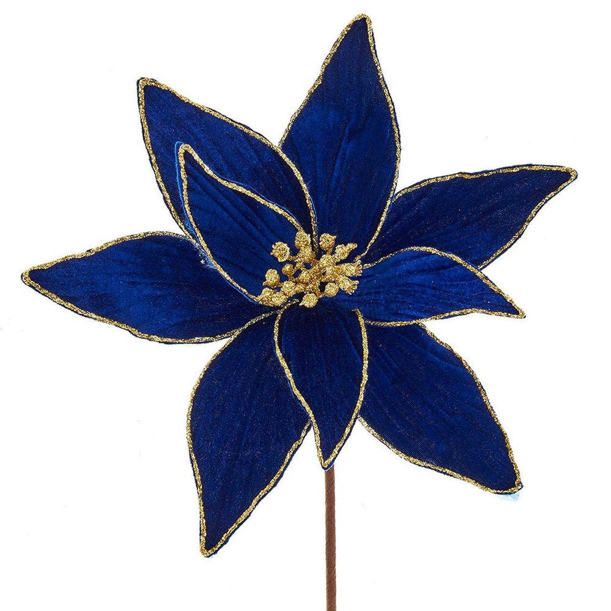 Royal Blue and Gold Poinsettia