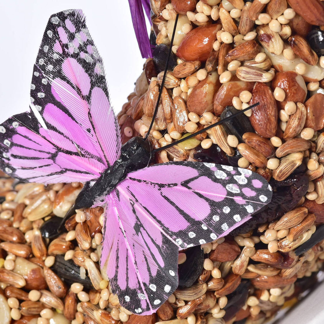 Wildfare Seed Wreath