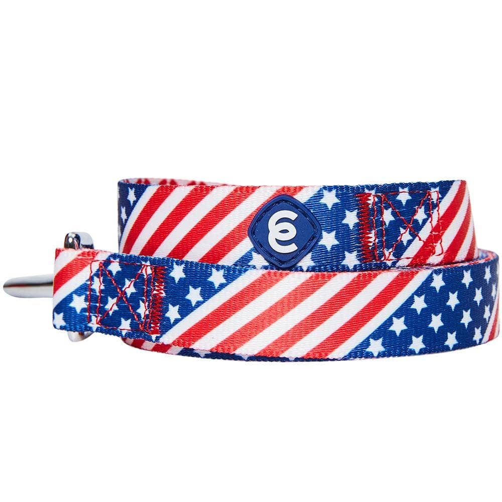 American Flag Pet Leash
