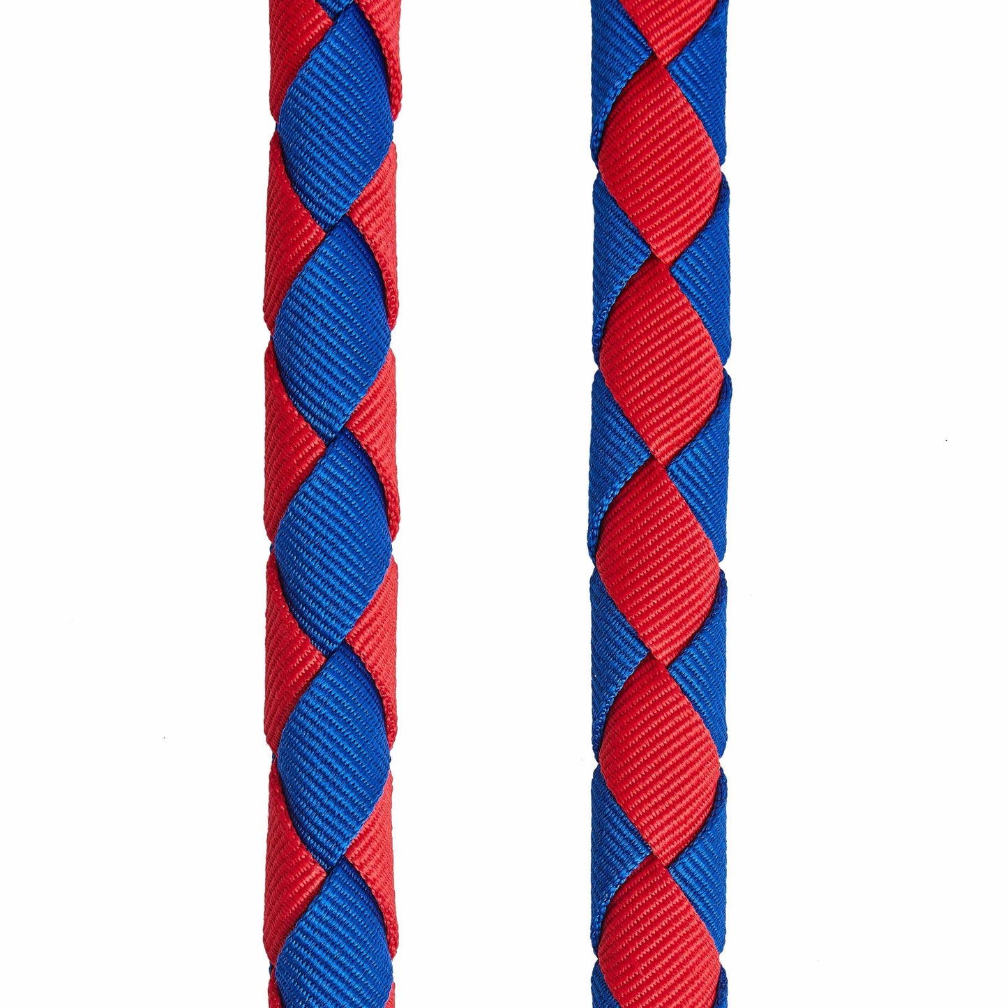 Hand Braided Dog Leash