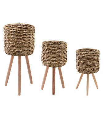 Seagrass Plant Stand