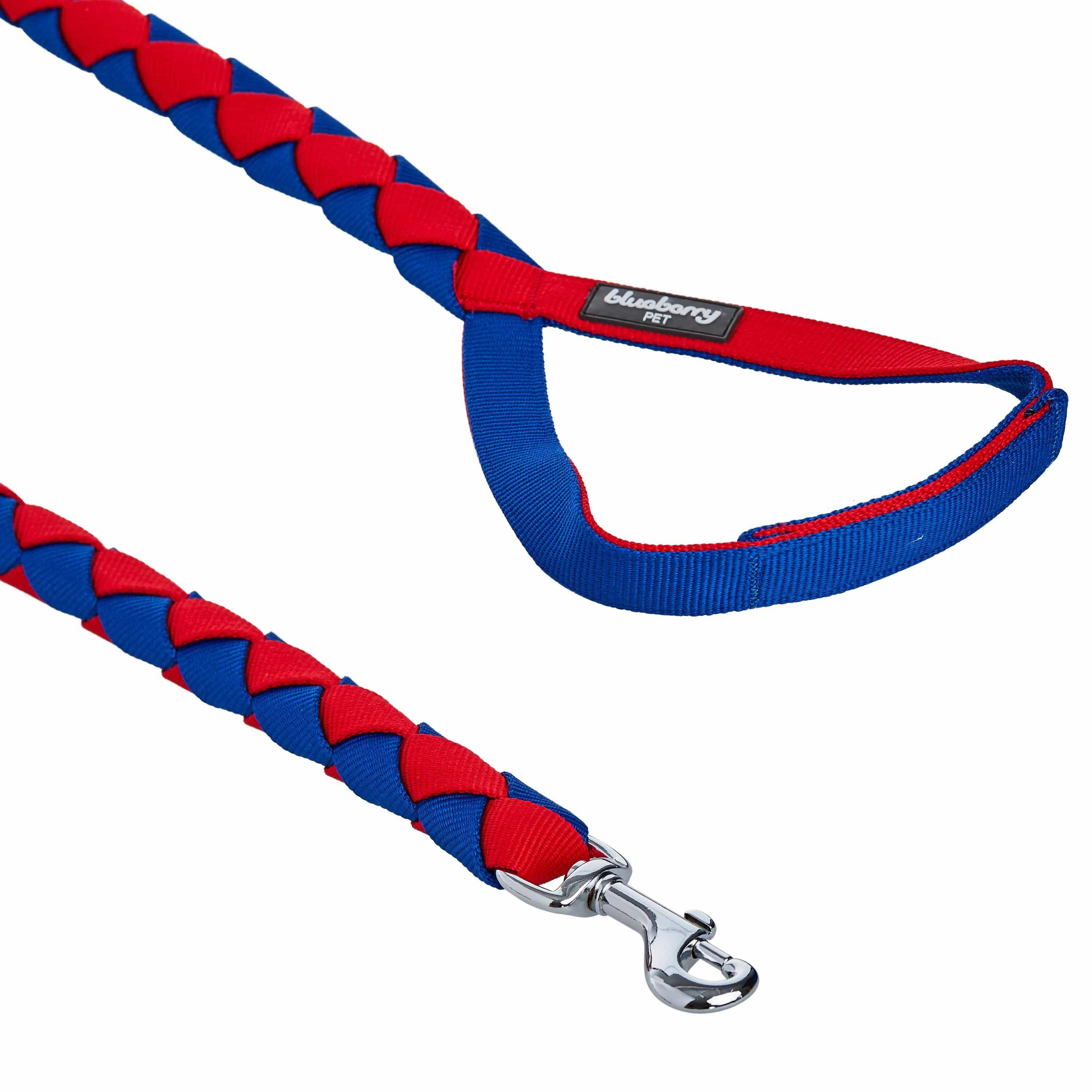 Hand Braided Dog Leash