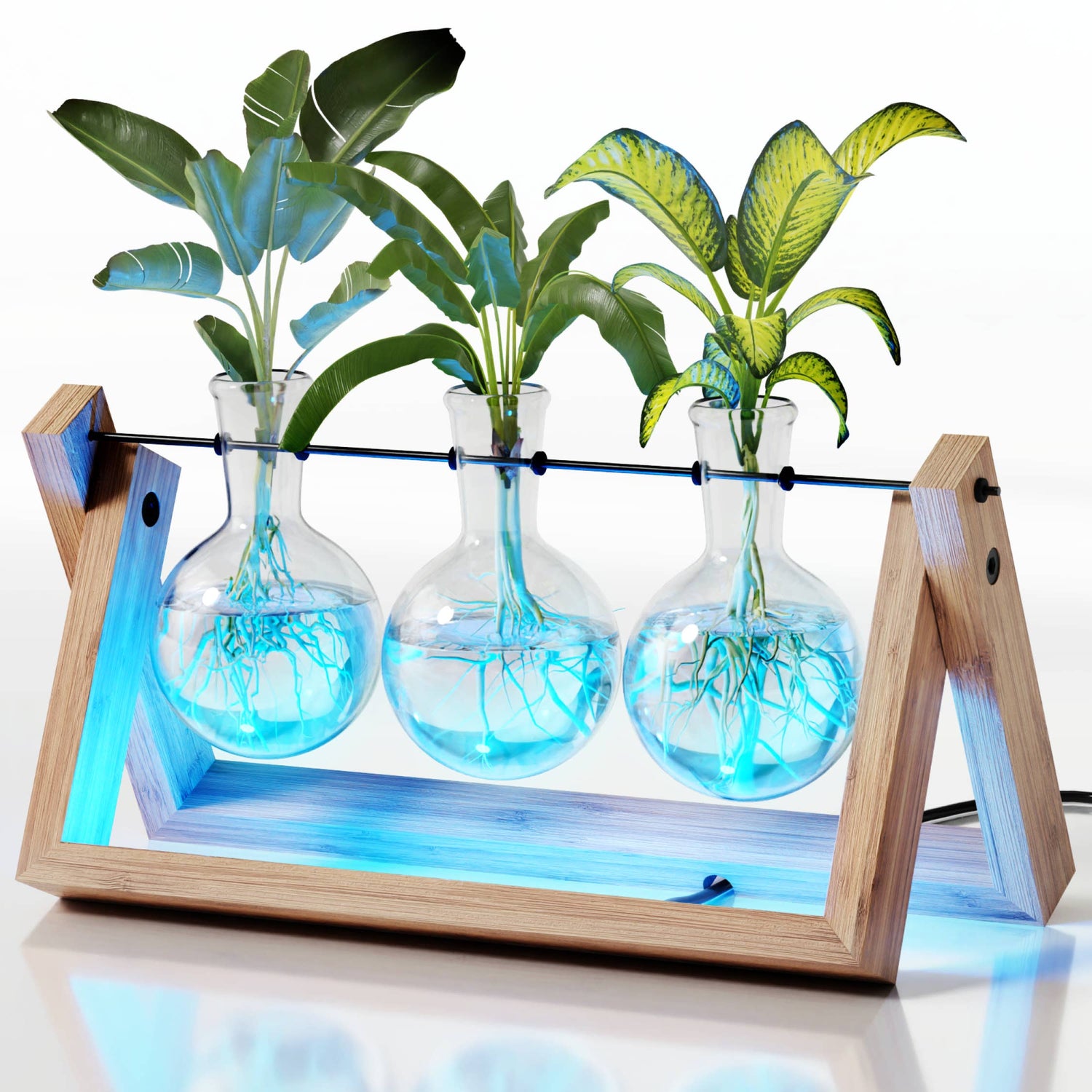 Light Up Propagation Station