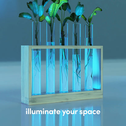 Light Up Vial Propagation Station