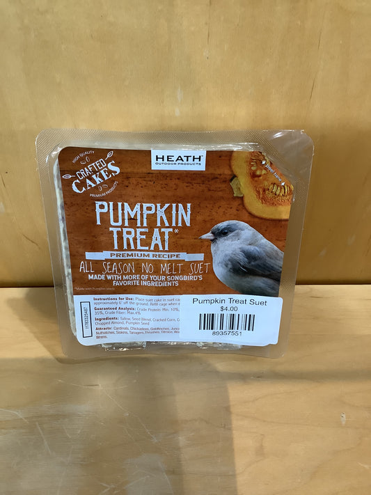 Pumpkin Treat Suet