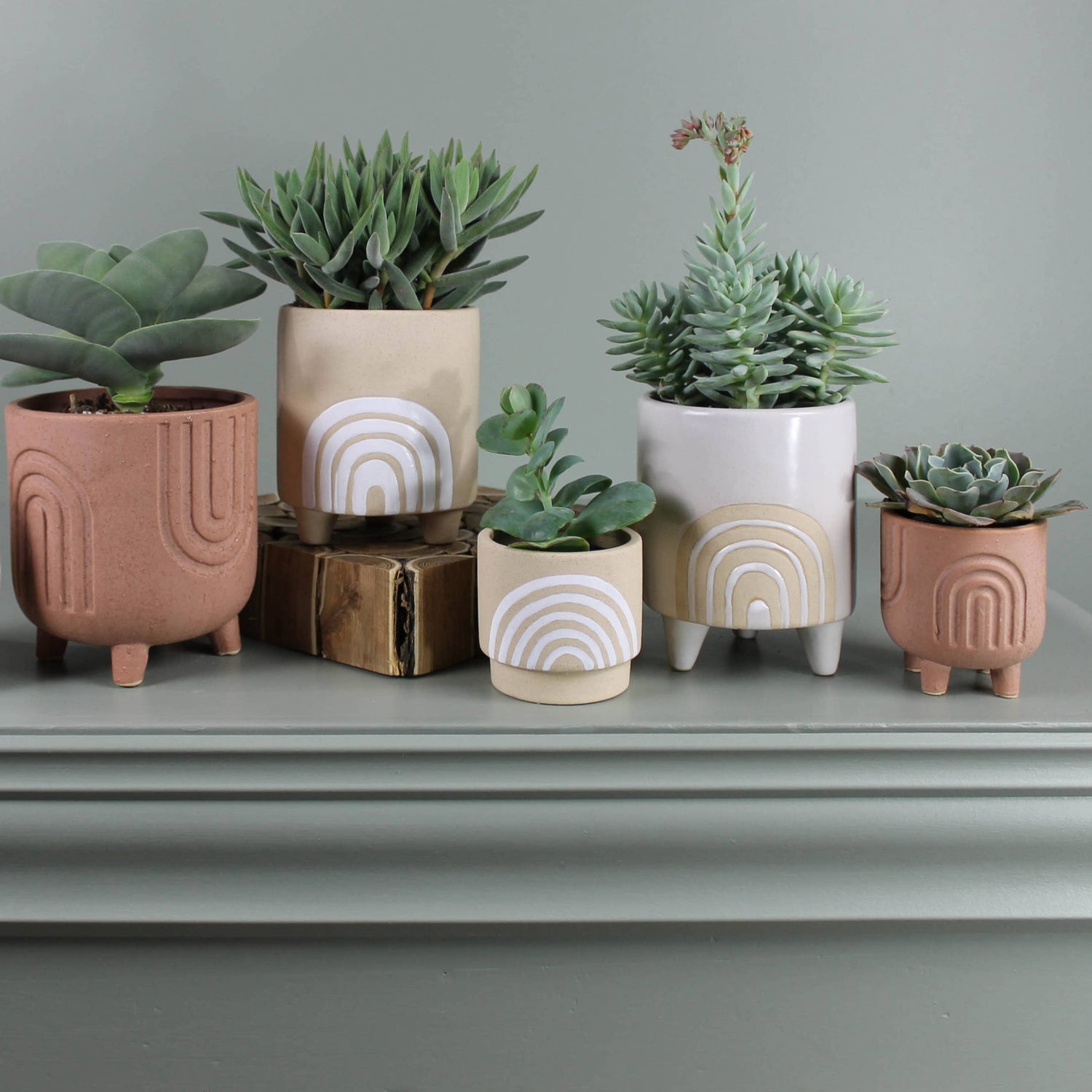 Rainbow Planter