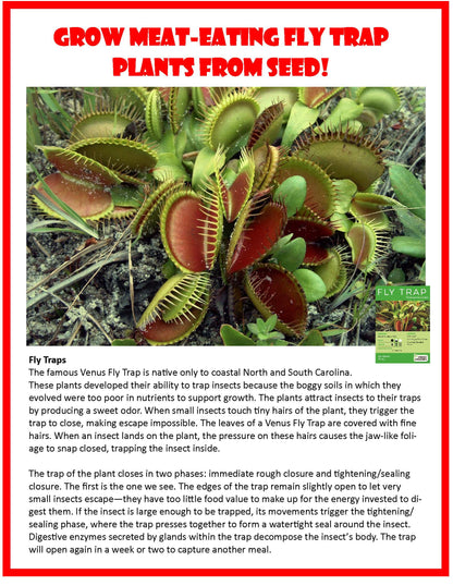 Flytraps Seed Square Terrarium