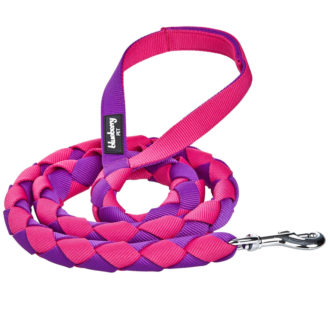 Hand Braided Dog Leash