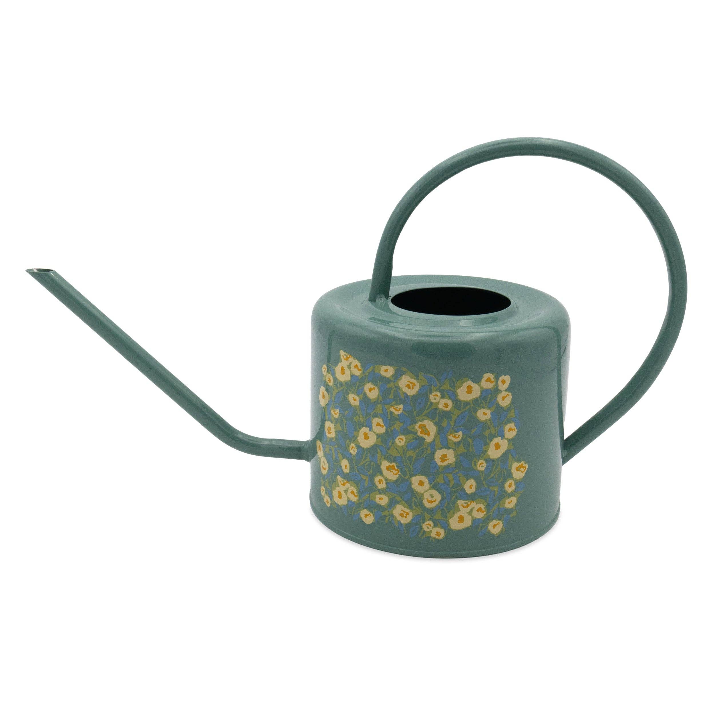 Stylish Watering Can