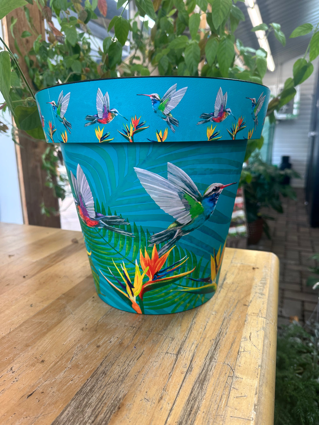 12" Zest Pot